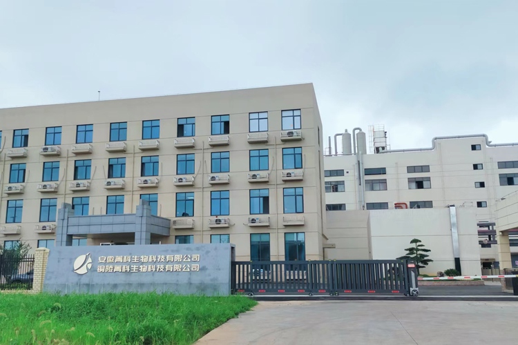 公司图2