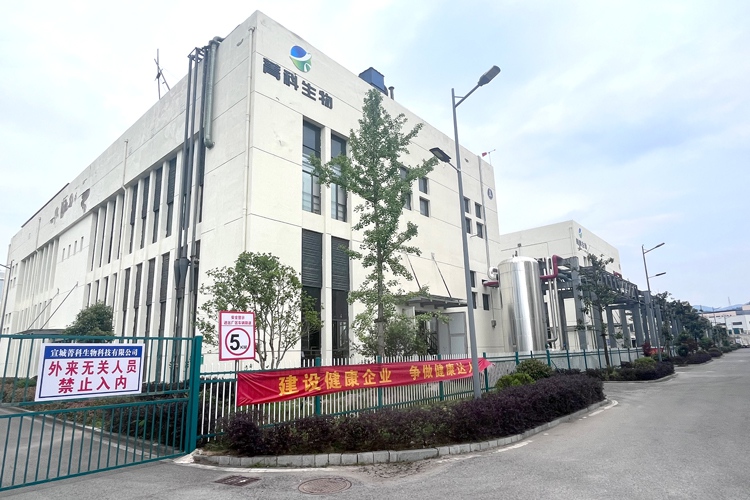 公司图3