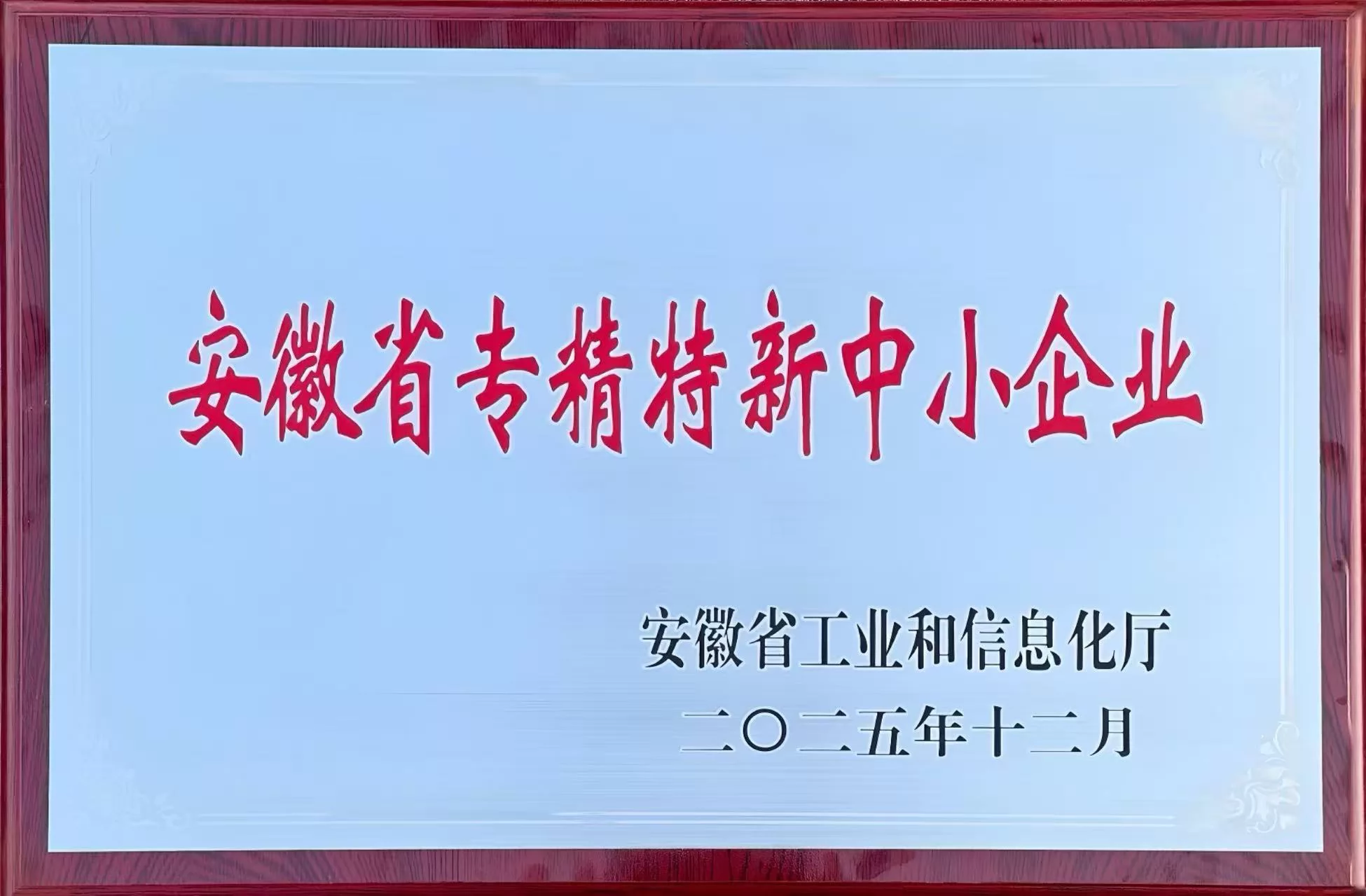 铜陵菁科省专精特新中小企业